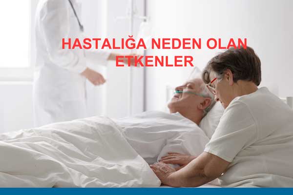 Hastalığa neden olan etkenler