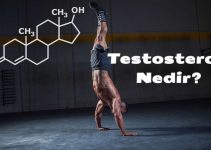 Testosteron Nedir ve Nasıl Salgılanır?