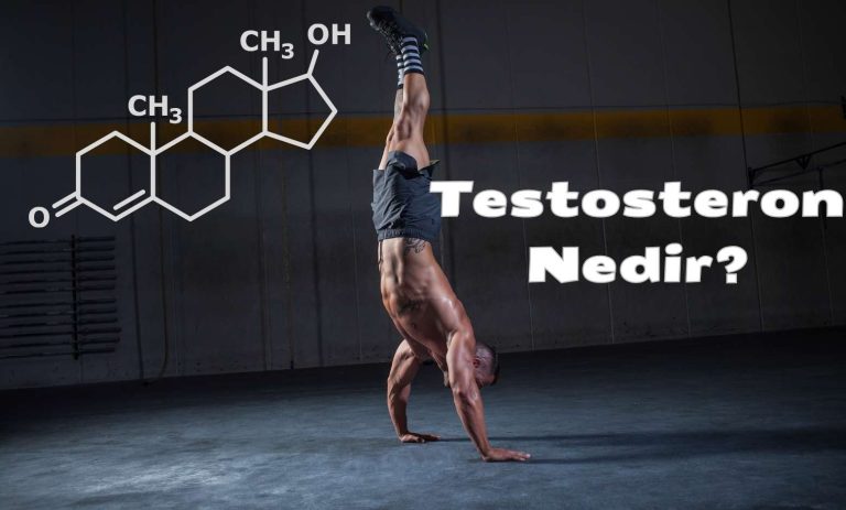 Testosteron Nedir
