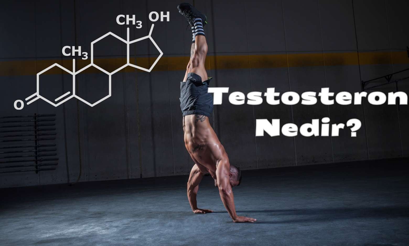 Testosteron Nedir